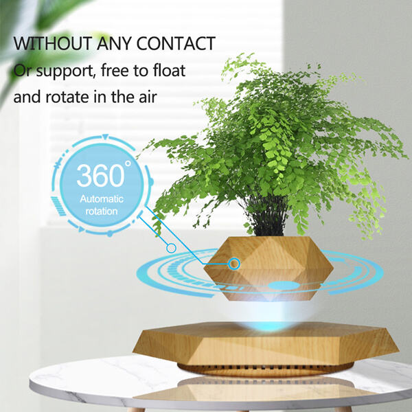 Innovation of The Floating Bonsai Plant