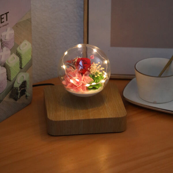 How to Use Levitating Flower Lamp?