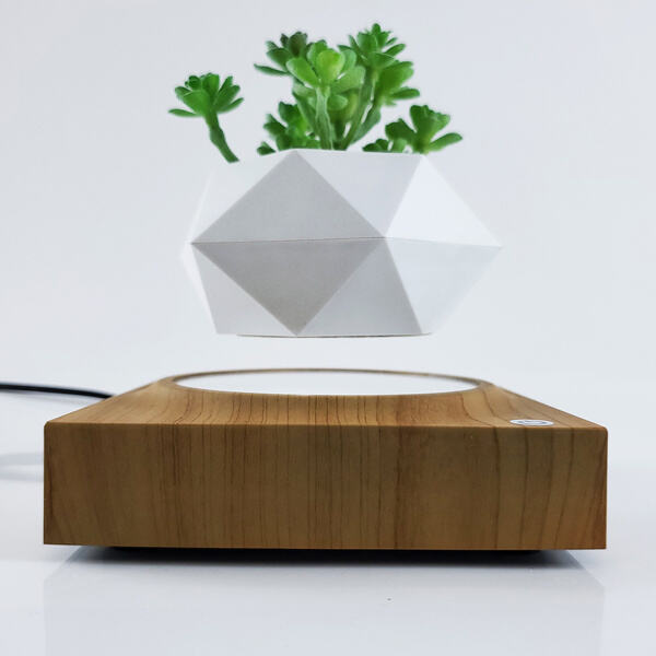 How to Use a Levitating Plant Holder: