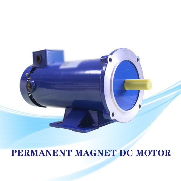 Security of PMDC Motor: