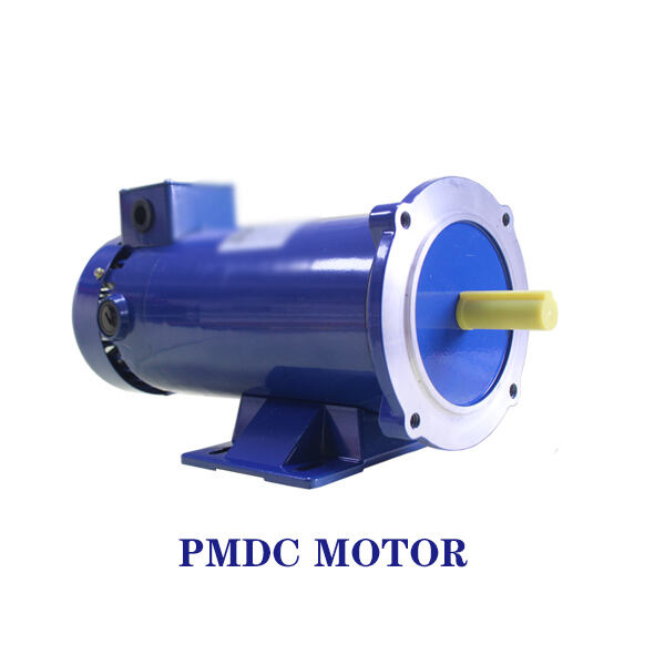 Safety Measures of Pmdc Motors: