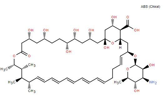 Amphotericin B CAS 1397-89-3 supplier