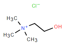 Fabrication de chlorure de choline CAS 67-48-1