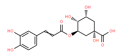 Natural 98% honeysuckle extract Chlorogenic acid CAS 327-97-9 manufacture