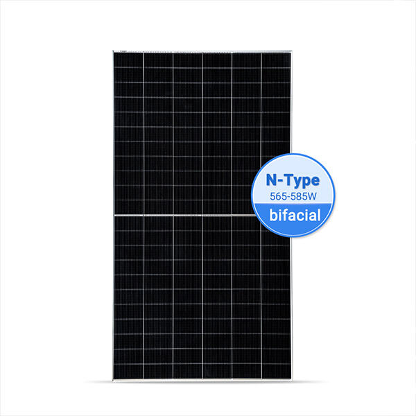 Innovating solar technology with dual-sided panels