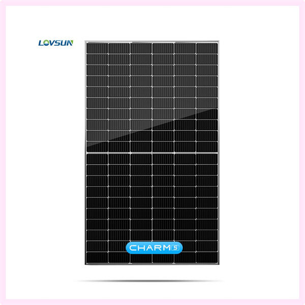 Exploring financing options for covering the upfront cost of solar panel installation