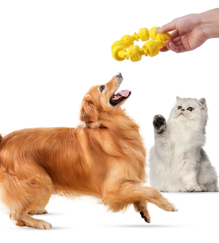 Unleash the Fun: Engage Your Pet with Rubber Pet Chew Toys