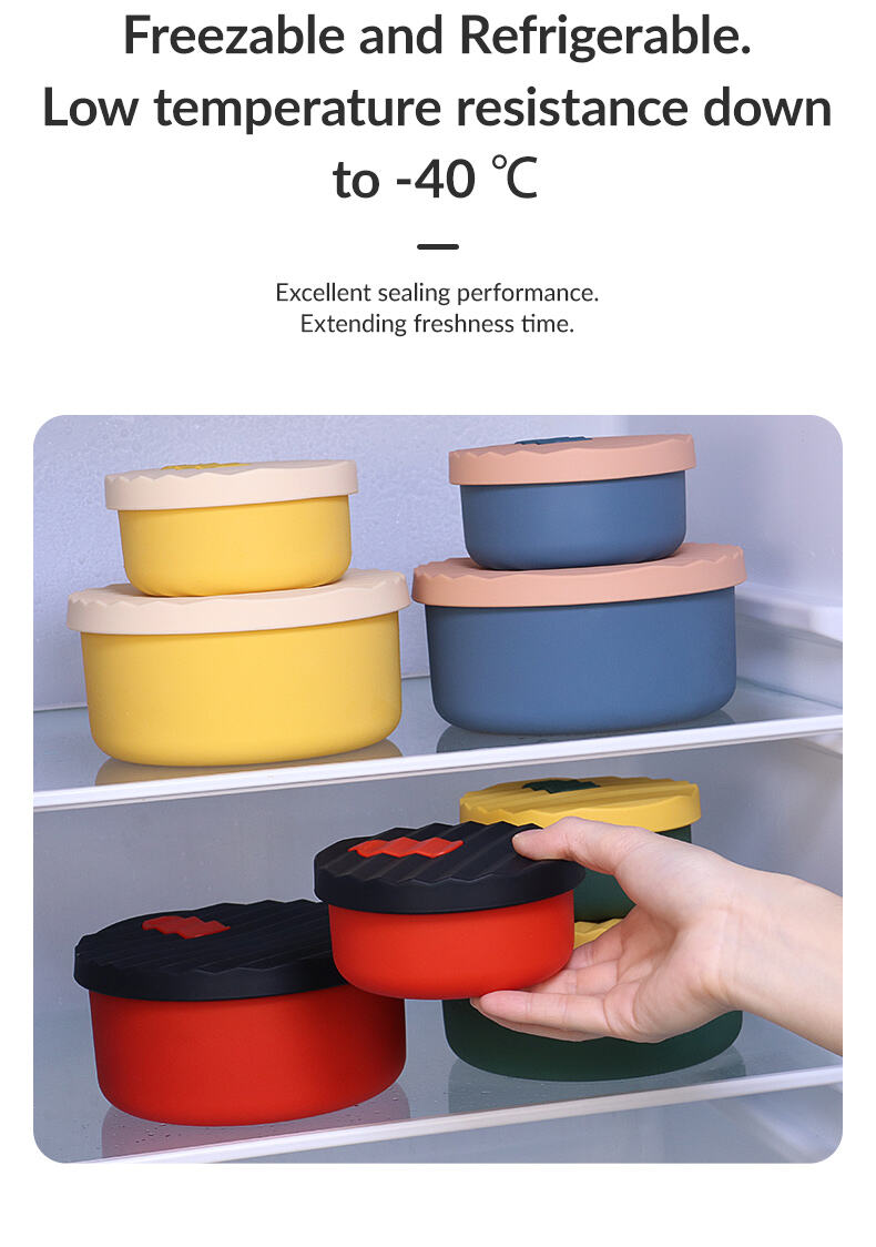 Silicone Lunch Bento Box Food Storage Container with Lid details