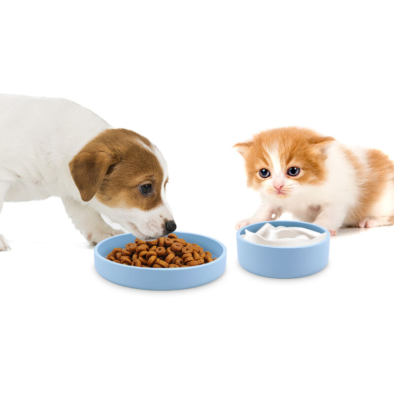 Multi-Use Silicone Feeding Bowl Suitable for Pet Dry & Wet Food