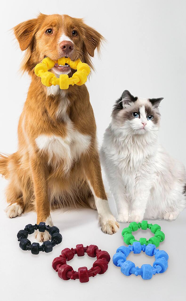 Rubber Pet Chew Toys for Dog Cat supplier