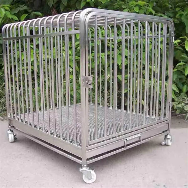 Easy-to-assemble Cage Designed for Your Convenience