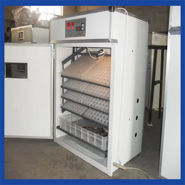 Discover the Best Chicken Incubators for Hatching Chicks