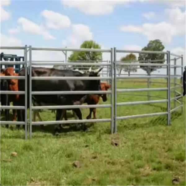 Invest in quality cattle gates for long-lasting farm infrastructure