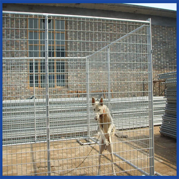 Big Outdoor Dog Kennel