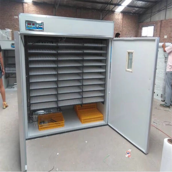 How a Good Incubator Can Make All the Difference
