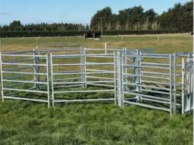 كيفية إزالة حافة الحدائق المعدنية