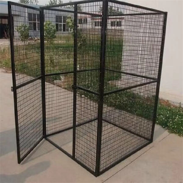The role of chick cages in preventing disease and injury in poultry