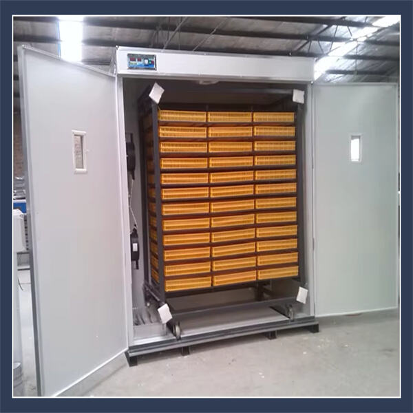 Innovative Features for Easy Monitoring and Care of Quail Eggs