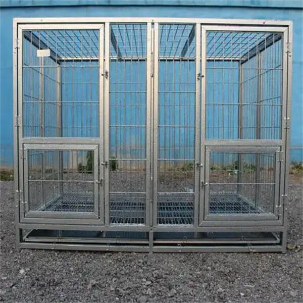 The Safe Haven Your Giant Breed Deserves