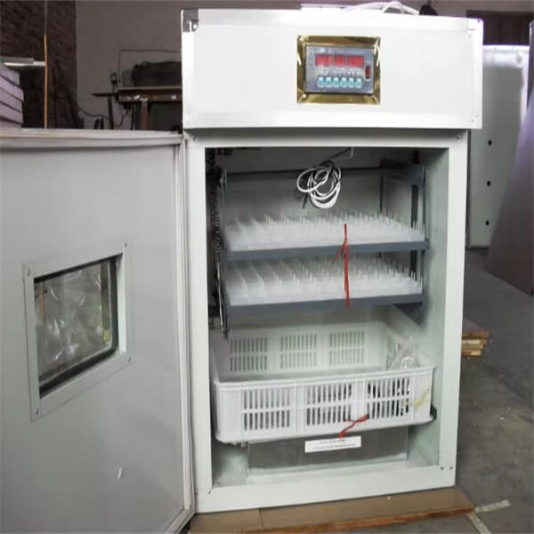 Top-Rated Egg Incubators for Efficient and Effective Incubation