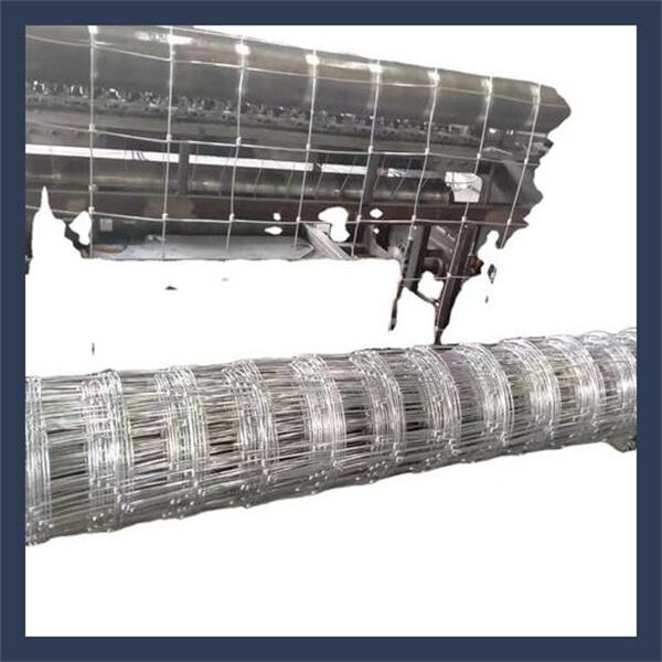 Explore Endless Possibilities with Versatile Black Chicken Wire Netting