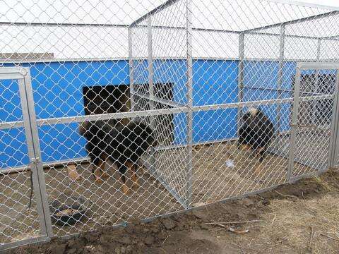 Dog-Kennel for Dog factory