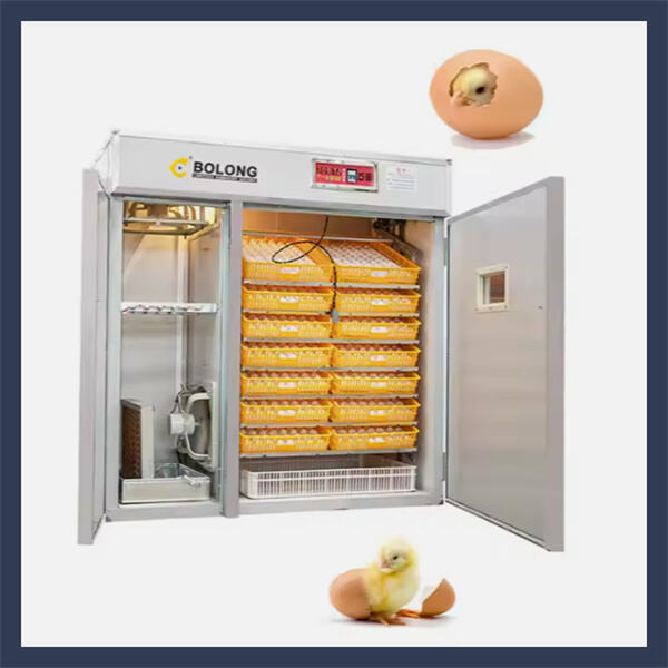 The Science of Hen Incubation