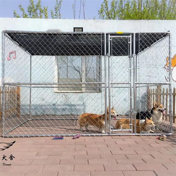 Give Your Dog Room to Move with an Extra Large Dog Cage