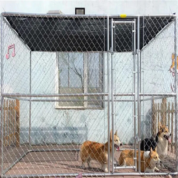Big Outdoor Dog Kennel
