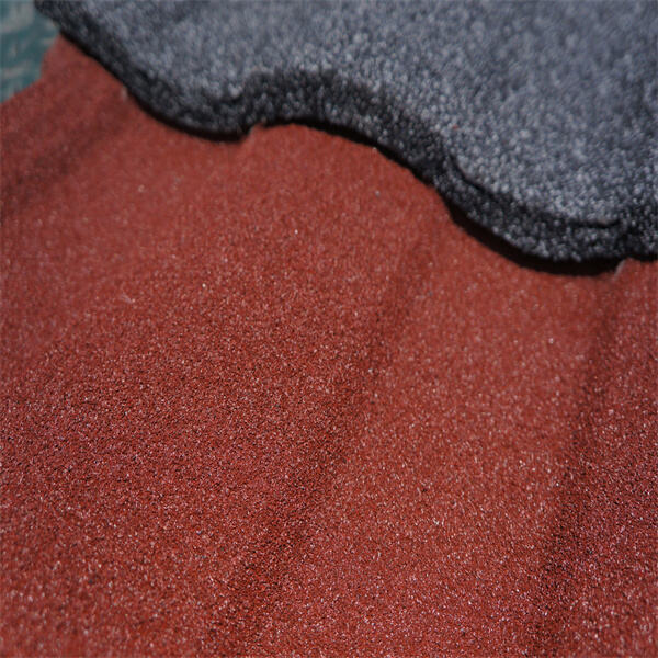 Affordable and Long-Lasting Clear Roofing Solutions for Businesses