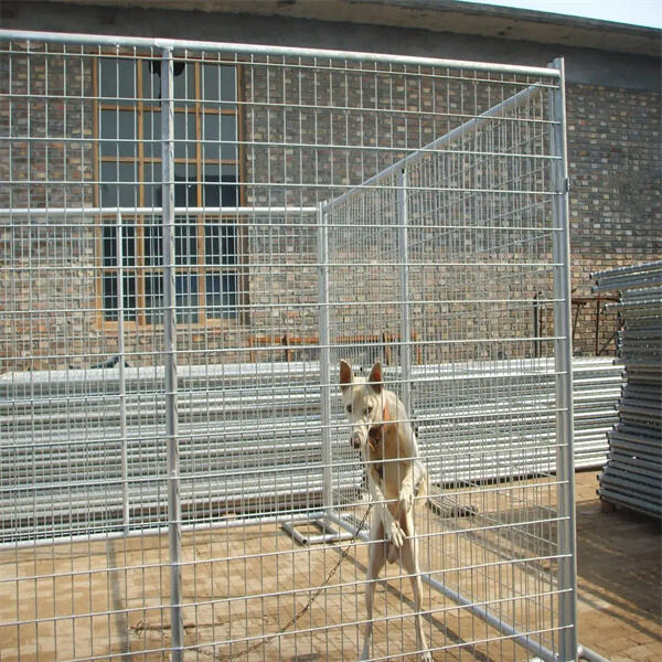Premium Kennel for Maximum Comfort and Safety