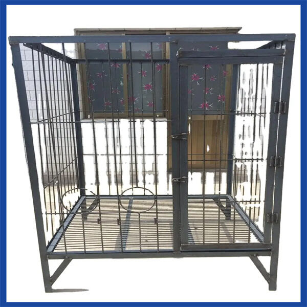 Tips for maintaining and cleaning your chick cage