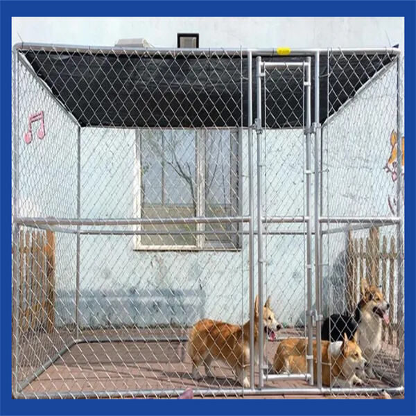 Traveling with your Cat? Keep Them Safe in a Portable Cat Cage