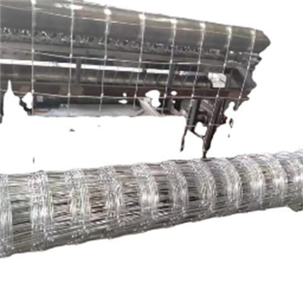 The corrosion-resistance of galvanized welded wire mesh