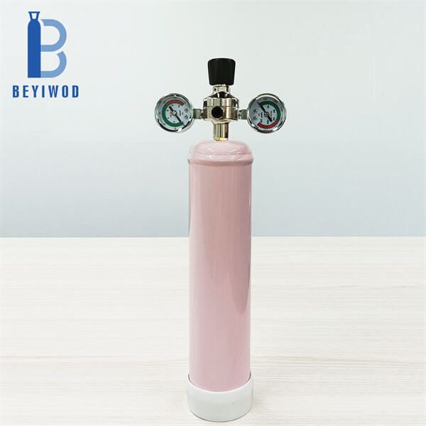 Professional-Grade Results from the Comfort of Your Home Kitchen