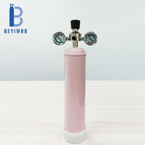 Create Delicious, Artful Desserts at Home with Whip-It N20