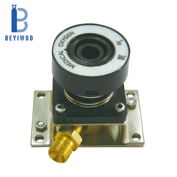 Understanding the Functions and Features of a Medical Regulator Oxygen