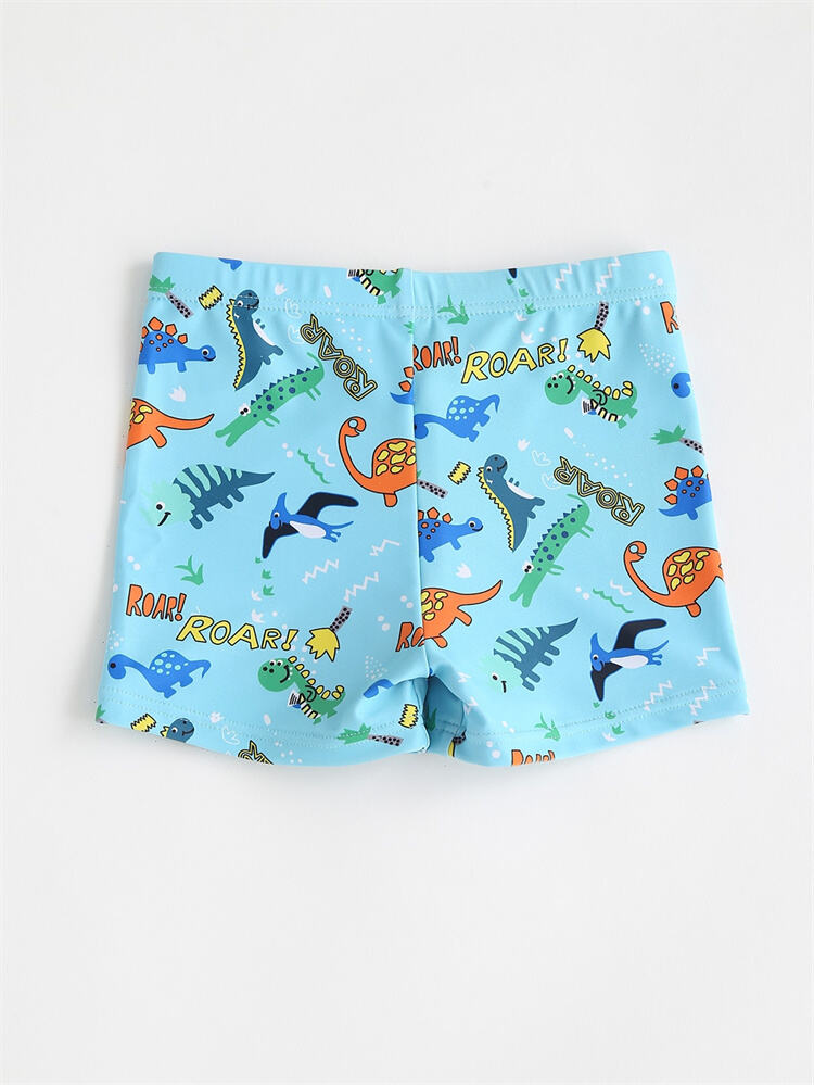 Dinosaur Print Quick Dry Swim Trunks for Kids supplier