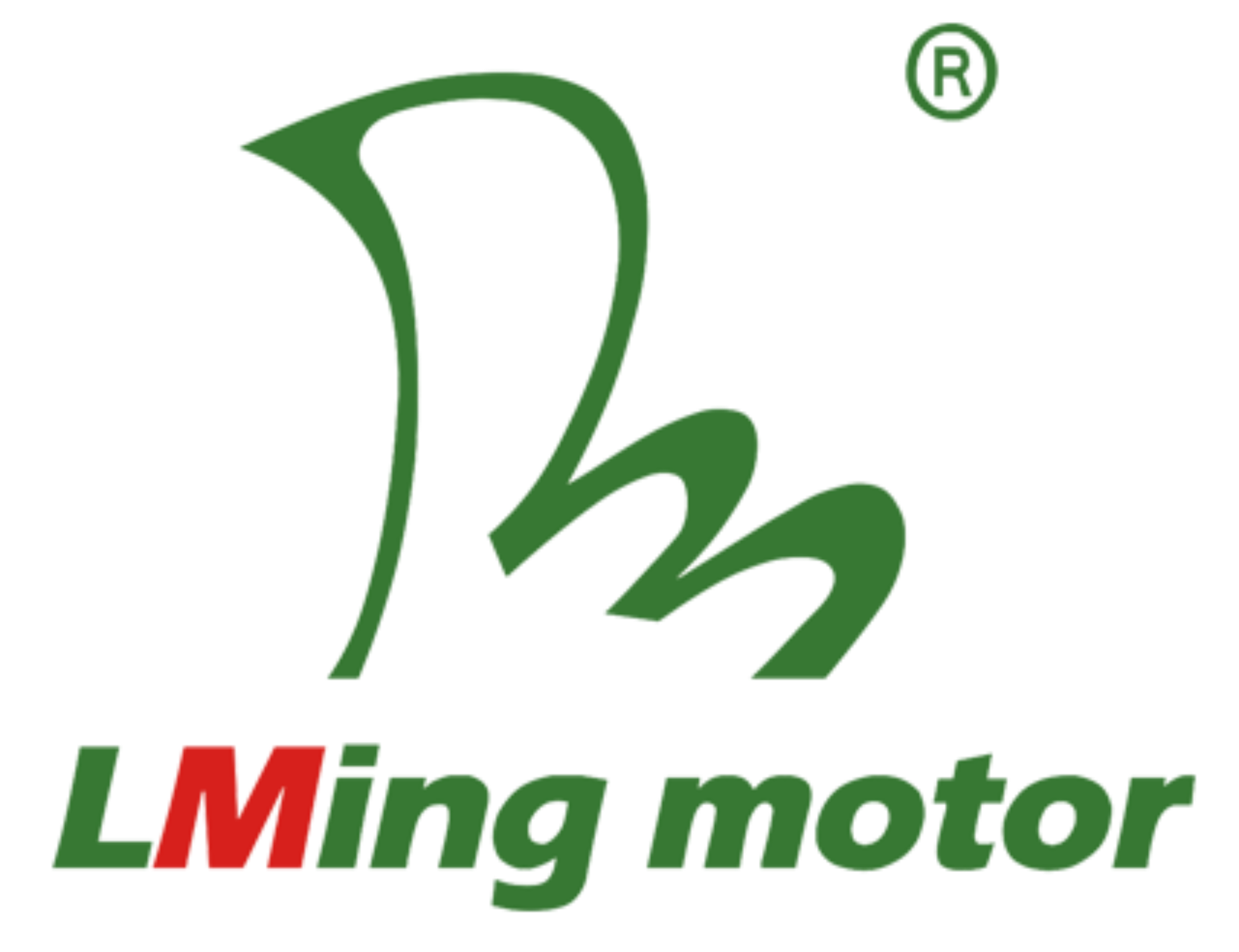 Get to know Lingming Motor