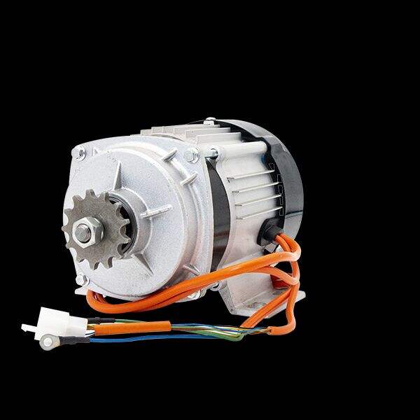 Safety of Bldc Mid Drive Motor