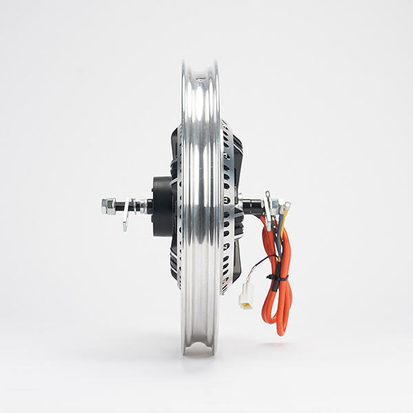 Utilizing a Motorbike Hub Motor: