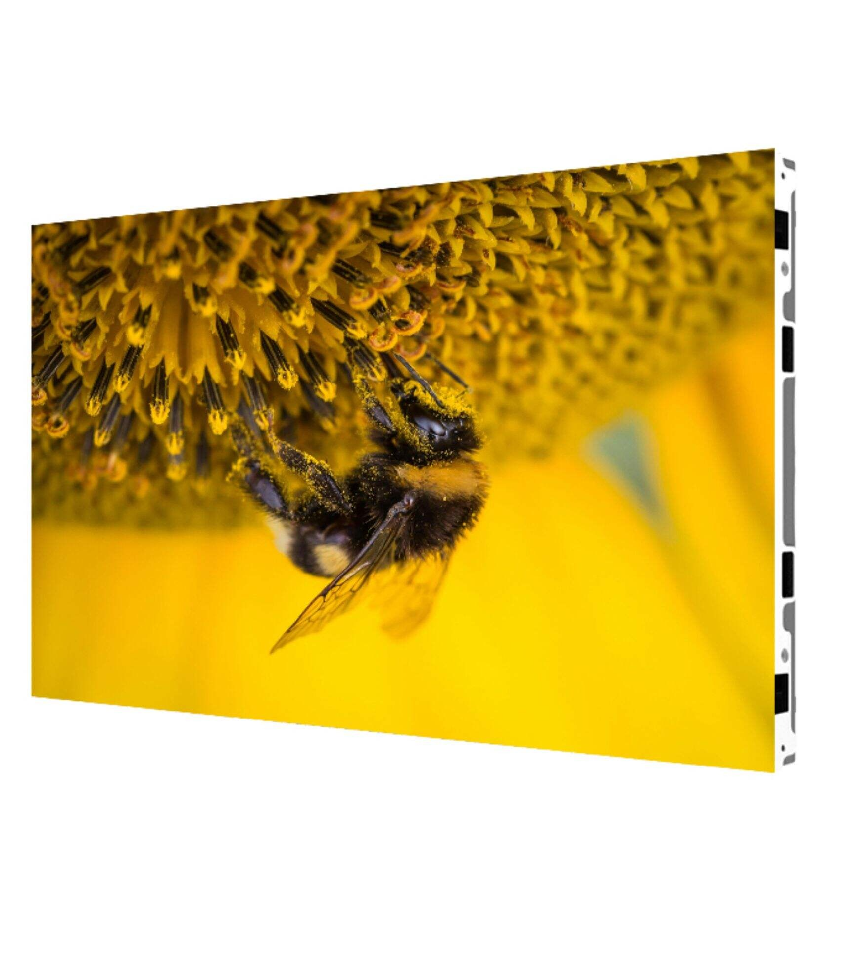 Elevate Your Indoor Branding with Tengcai Semiconductor's Indoor COB Display Innovations