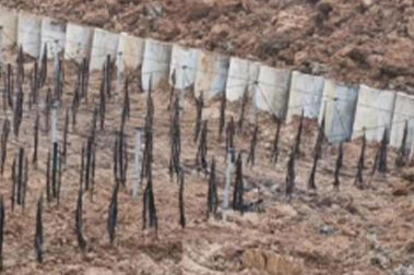 Aplicación del césped de fibra de carbono ecológico en ingeniería ecológica del agua