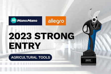 Exciting News: SWANSOFT Now Available on Allegro and ManoMano!