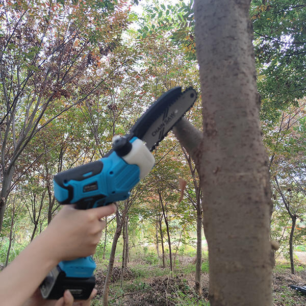 Safety Features of Small Pruning Chainsaw