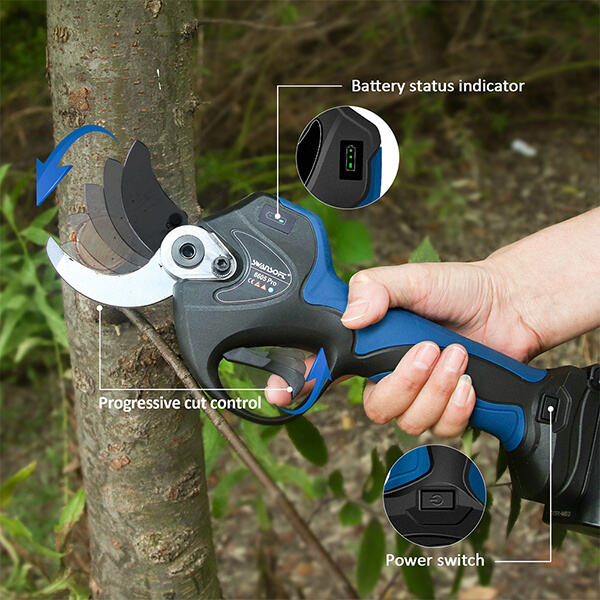 Safety of Electric Hand Pruners: