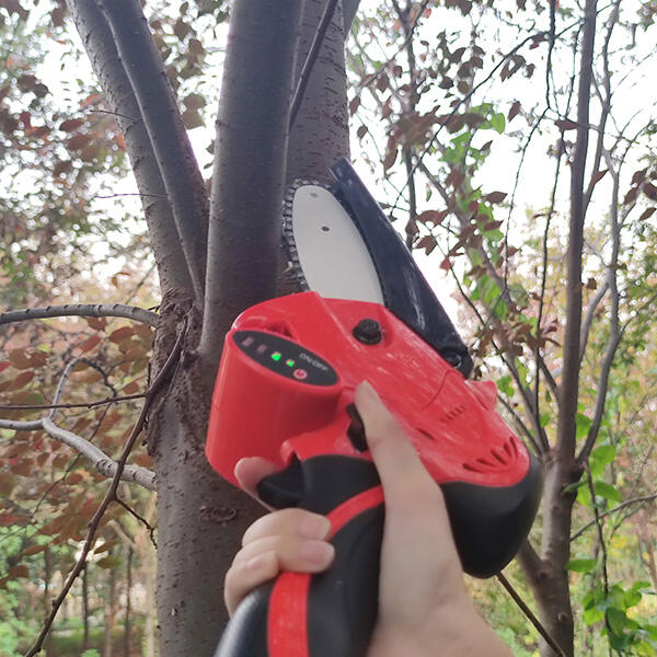 Security of Mini Chainsaw Cordless