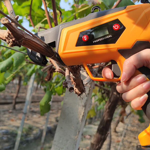 Innovation in Electric Shears Pruning