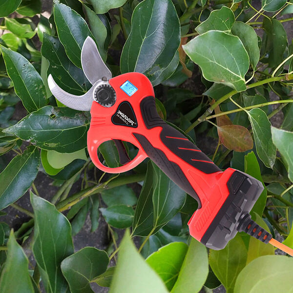 Innovation of Cord Secateur