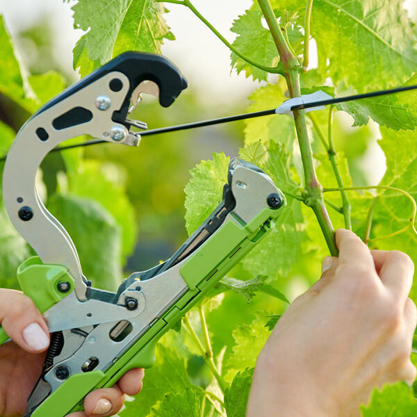 How to Use Vineyard Tying Binding Tools?